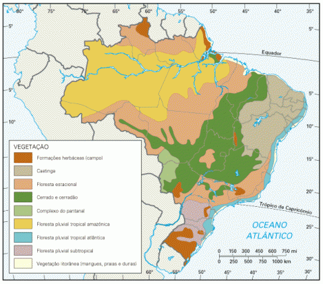 Mapa da Vegetação do Brasil