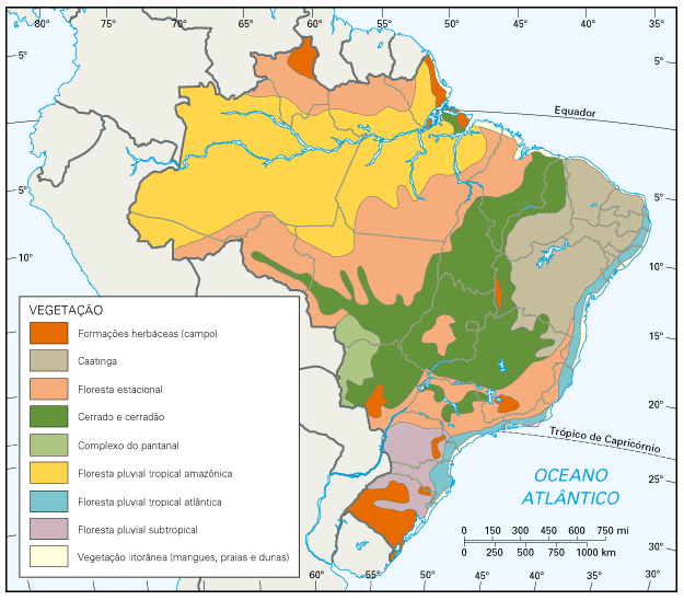 A VEGETAÇÃO DO BRASIL 