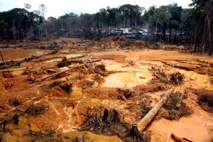Desmatamento da Amazônia