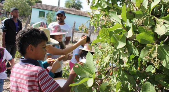 Educação Ambiental