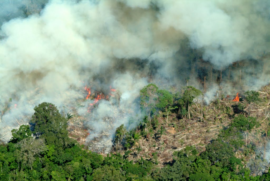 Resultado de imagem para fotos de queimadas na amazonia