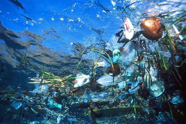 Plástico no Oceano: como eles vão parar lá e quais os impactos