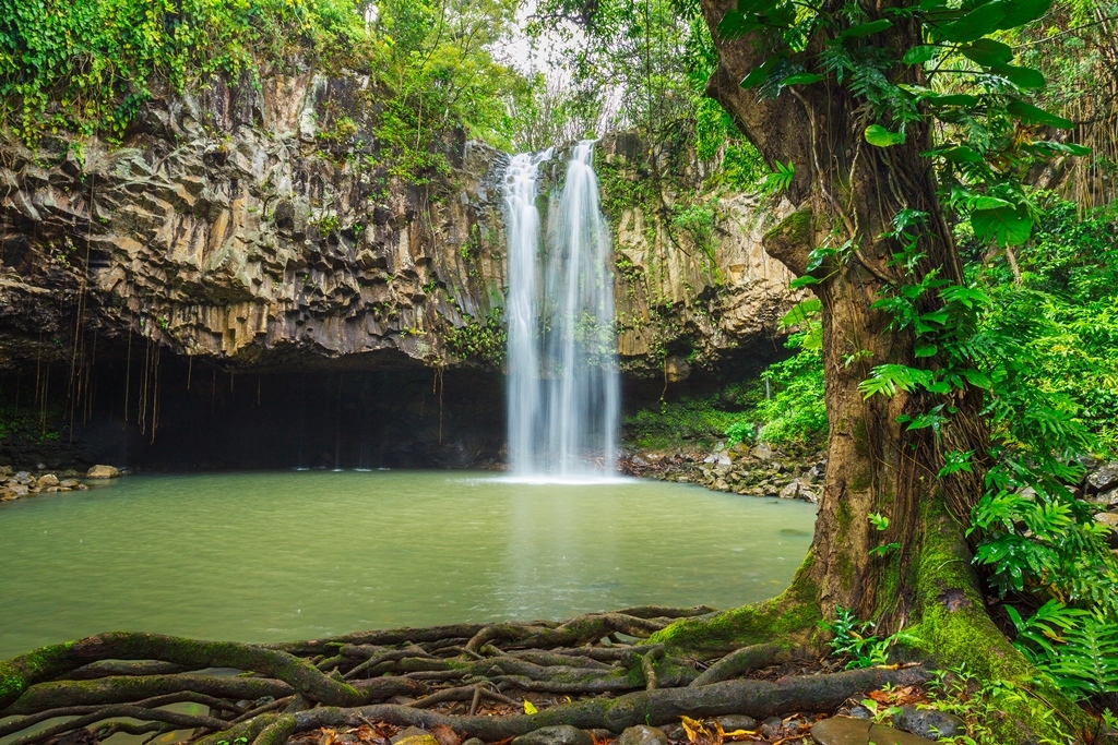 Sons Relaxantes da Natureza - Microsoft Apps