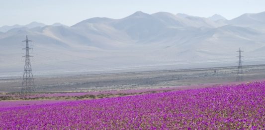 deserto-atacama3-2