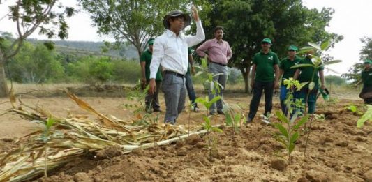 indiano-ensina-a-plantar-300-arvores-espaco-6-carros-2