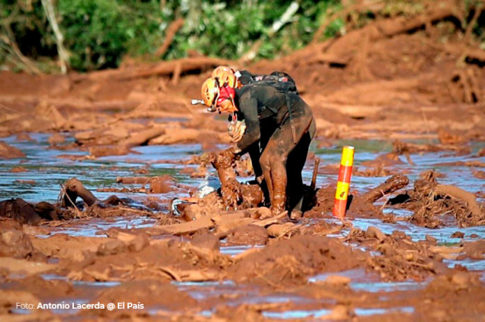 Brumadinho: Entenda Os Danos Ambientais Causados Pela Tragédia ...