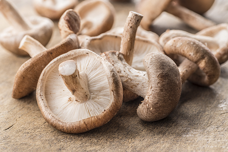 Zucca Cogumelos - A diferença entre o shimeji branco e o preto