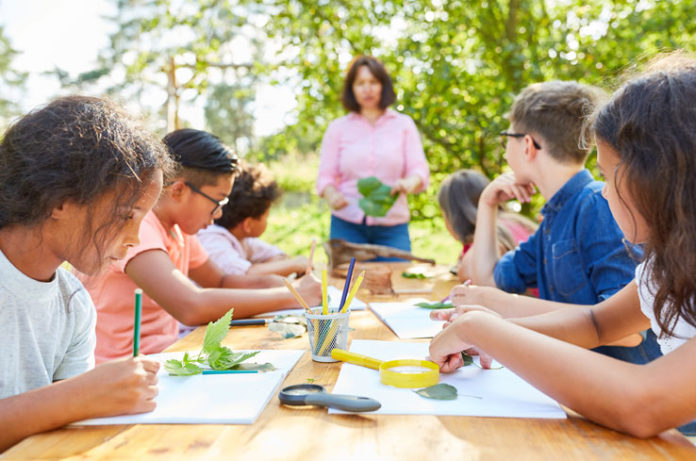 Educação Ambiental Nas Escolas É De Pequenino Que Se Torce O Pepino Arquivo Espaço Ecológico 9514